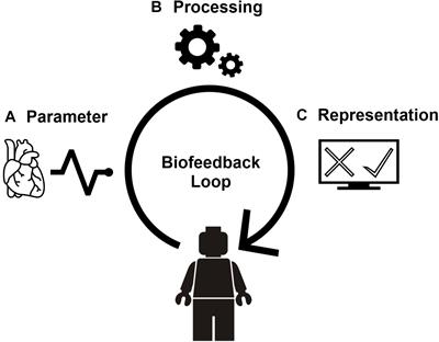Breathing Biofeedback for Police Officers in a Stressful Virtual Environment: Challenges and Opportunities